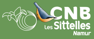 Logo du Cercle des Naturalistes de Belgique namurois, les Sitelles