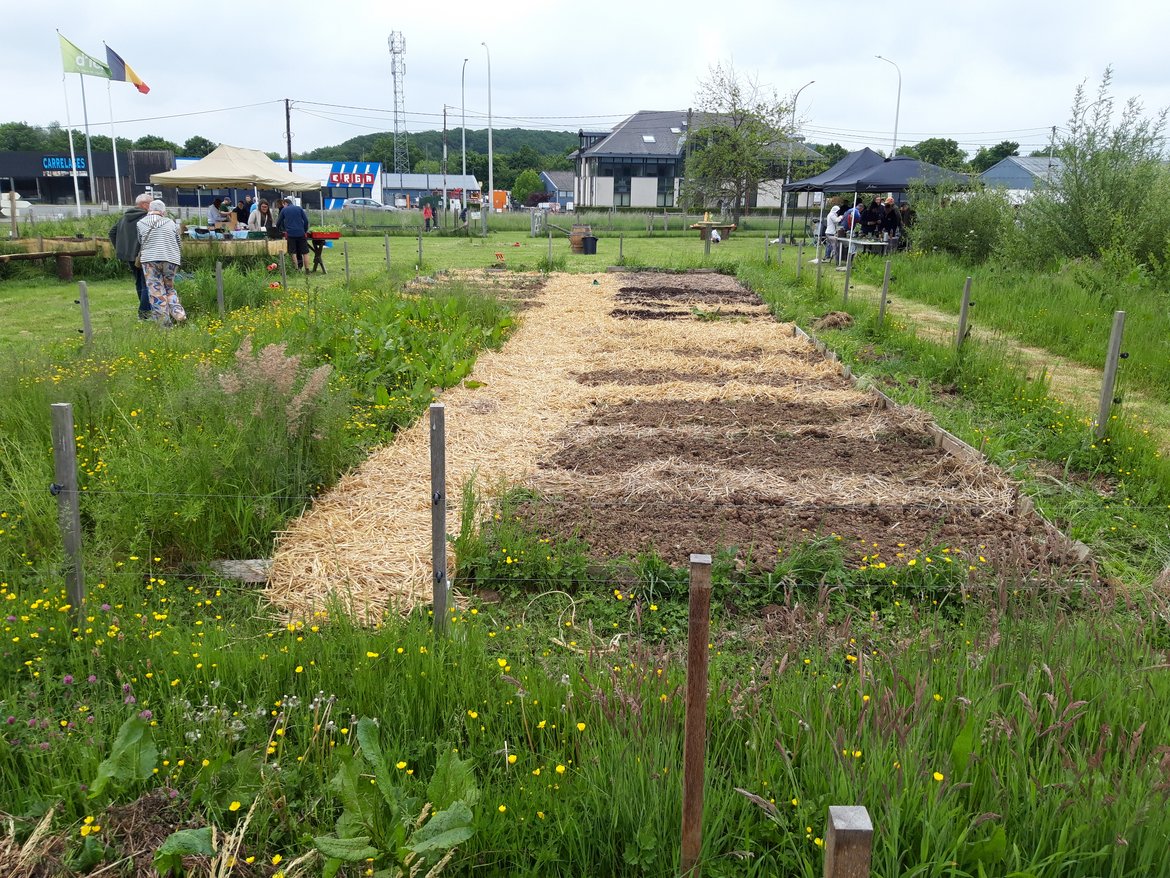 Potager didactique en permaculture