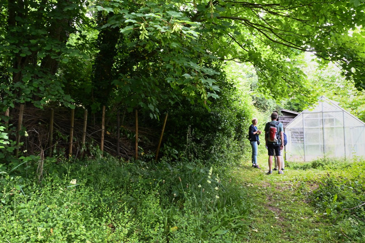 À droite de l'image, une serre ; à gauche, des fascines de bois mort marquent une limite du jardin