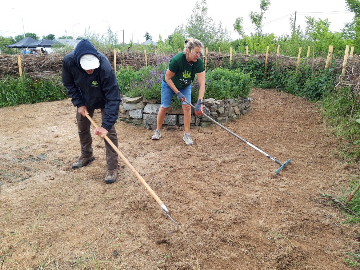Autour de la spirale aromatique, deux volontaires ratissent le sol avant d'y semer une zone fleurie