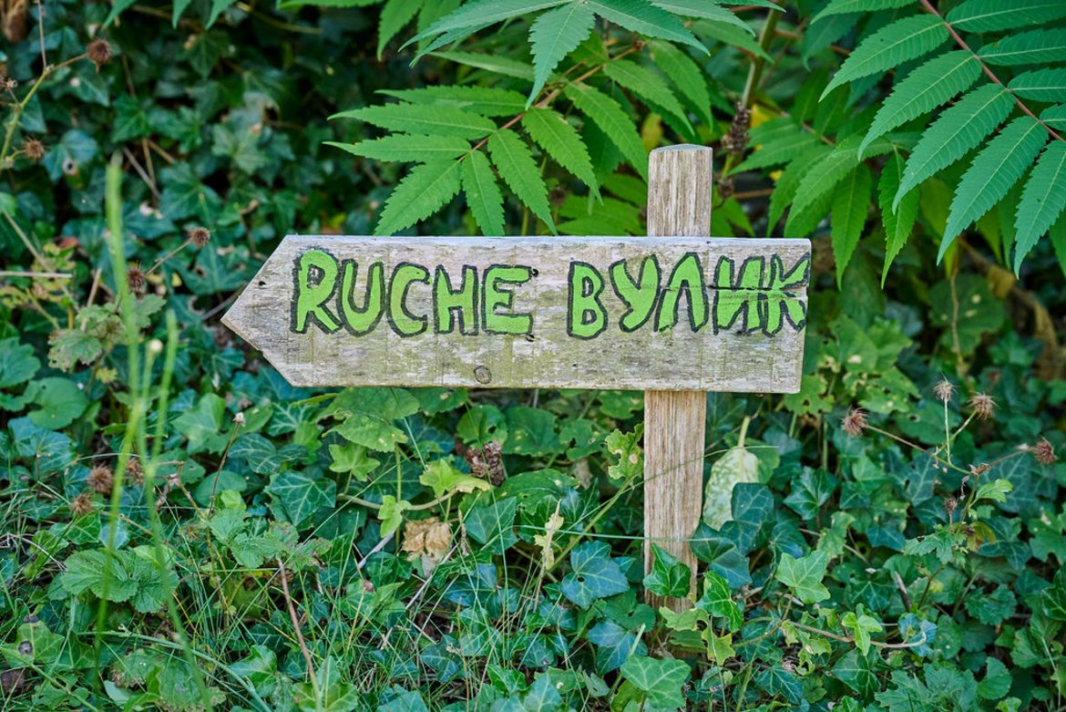 Dans un décor de verdure, panneau en bois où il est écrit "ruche" en français et en ukrainien