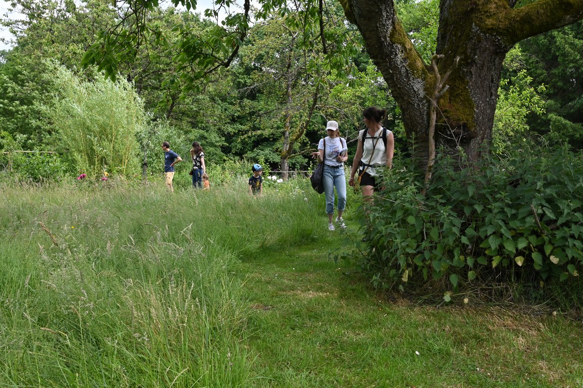 Des visiteurs et visiteuses déambulent dans les allées d'un jardin entre hautes herbes et orties