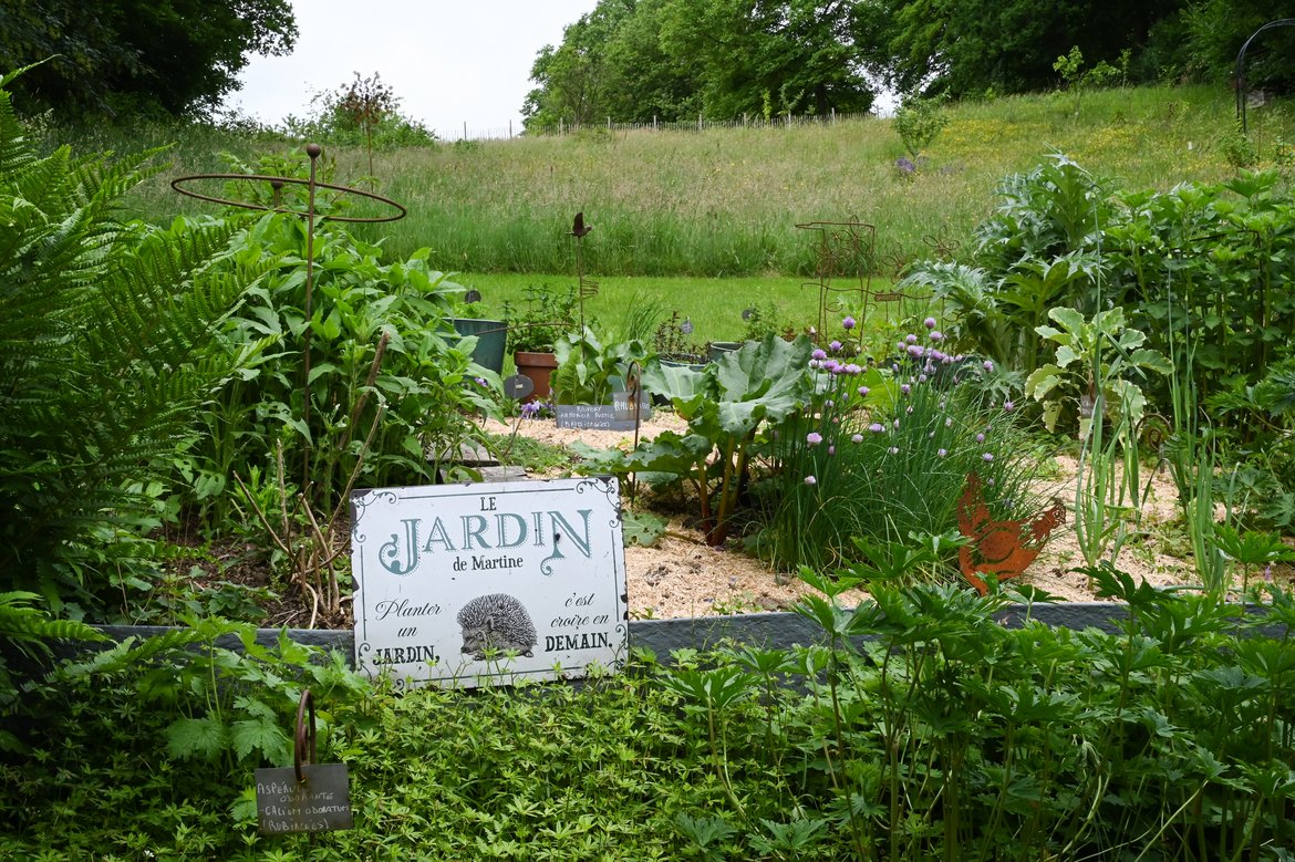 En arrière-plan, une zone d'herbes hautes ; en avant-plan, un jardin de plantes vivaces comestibles avec une joli petit panneau représentant un hérisson et la mention "Planter un jardin c'est croire en demain"