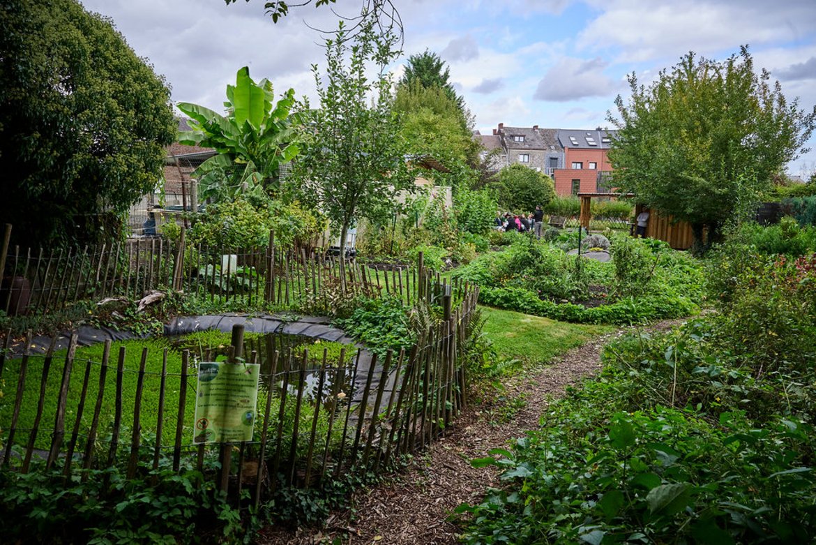 Vue sur le jardin de la ruche depuis le fond du jardin