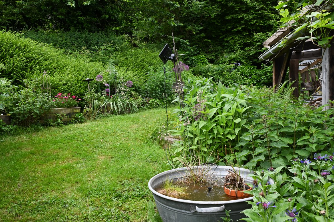 Dans un jardin, présence d'une bassine en fer qui fait office de petite mare et qui présente une mini-fontaine qui fonctionne à l'énergie solaire